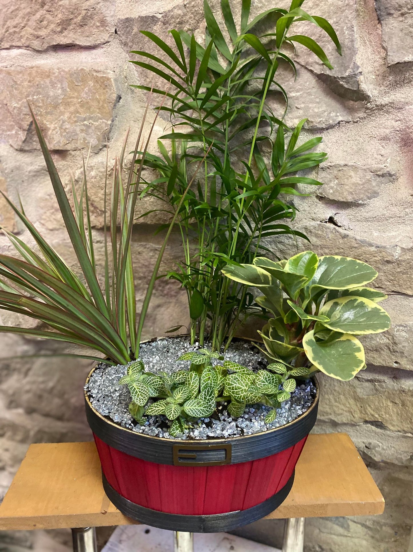 Festive Santa Tropical Basket