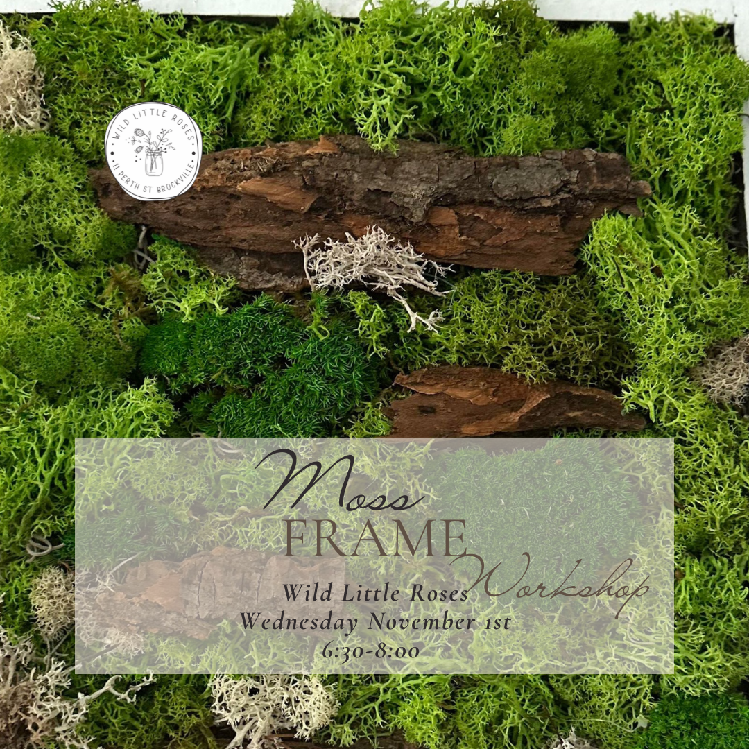 DIY Moss Wall Frame Workshop