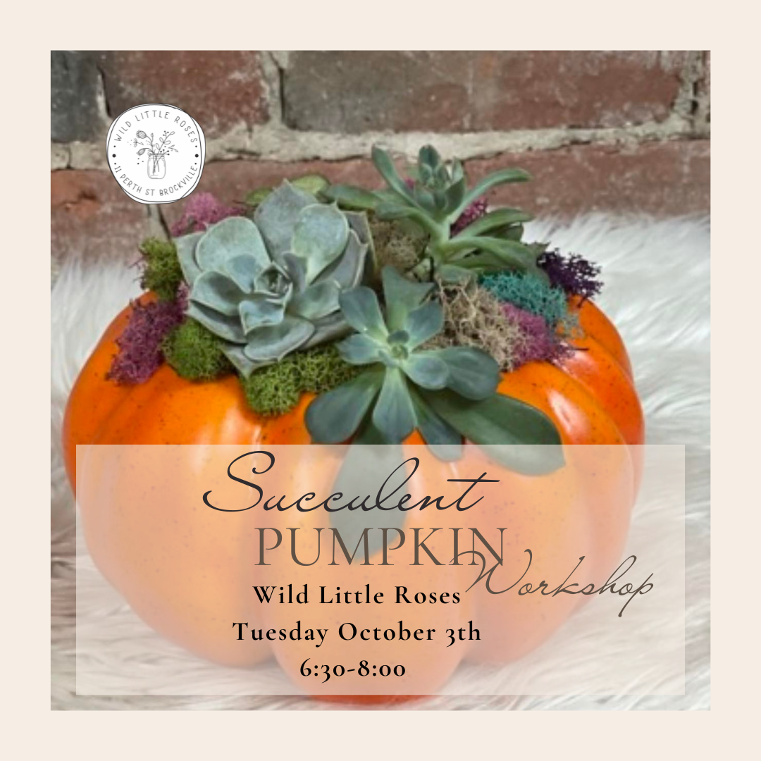 Succulent Pumpkin Workshop