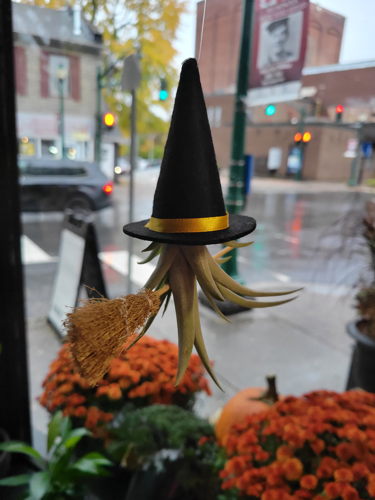 Flying Witch Airplant