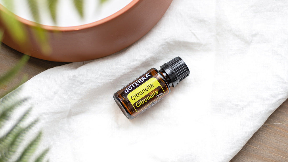 Citronella essential oil