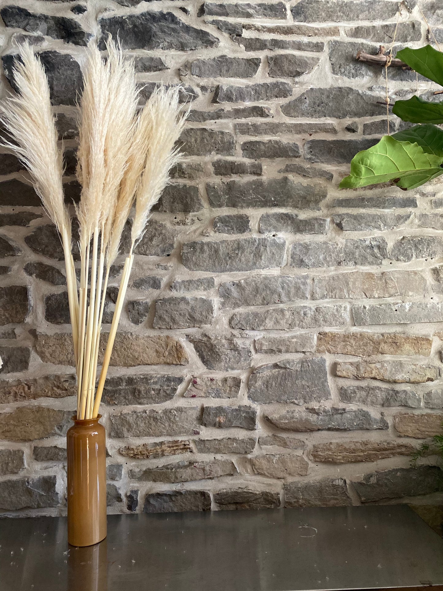 Single Stem Pampas Grass