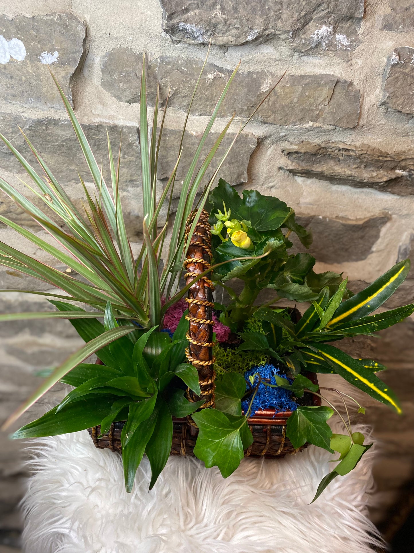 Assorted Tropical Basket