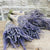 Dried Lavender - Wild Little Roses