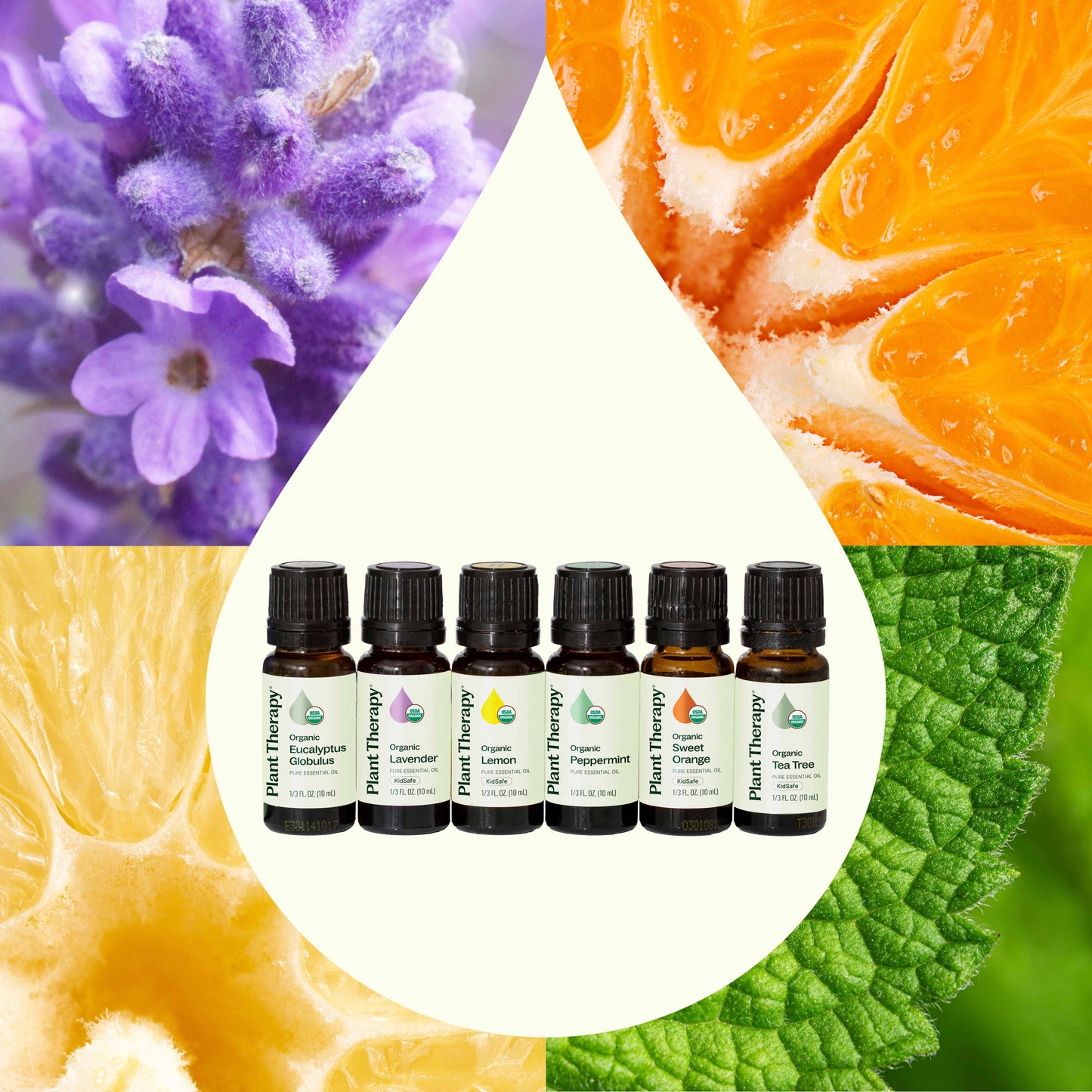 Plant Therapy - Top 6 Organic Essential Oil Singles Set