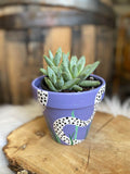 Hand-painted Terracotta Pot - Lavender Snake