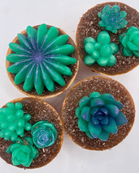 Inspiration Soap Co. - Succulent Plant Bath Bomb & Soap