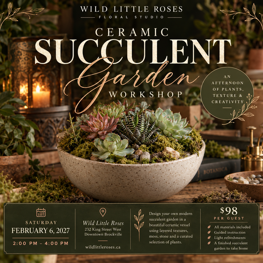 Ceramic Succulent Garden Workshop