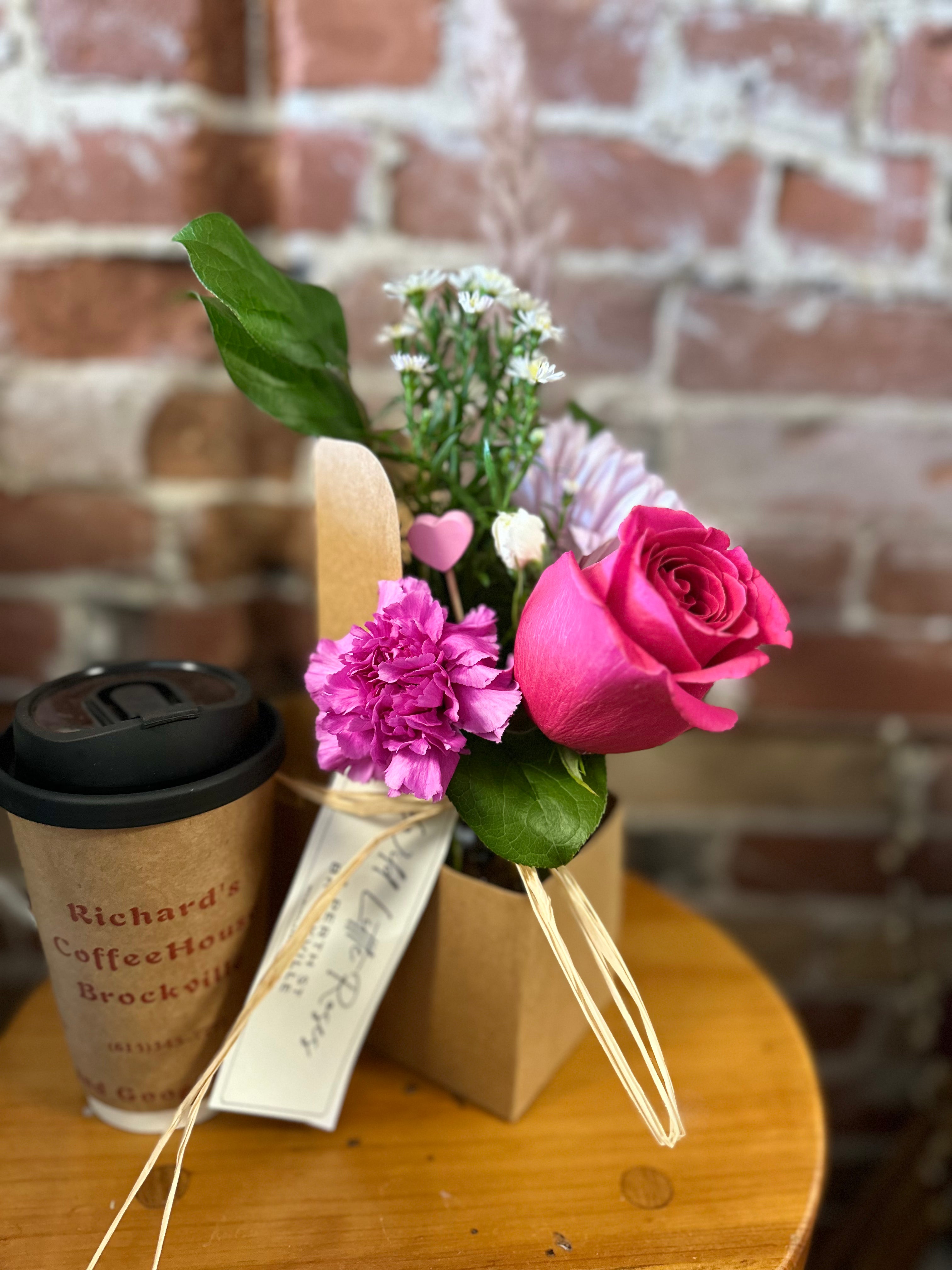 Java & Petal Harmony – Wild Little Roses