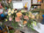 Garden Whimsy