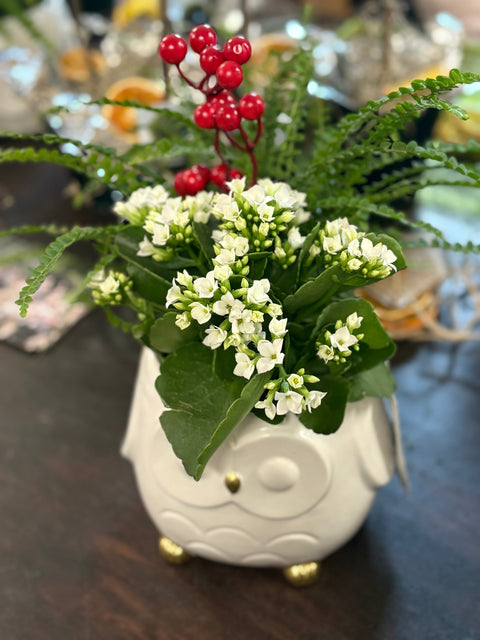 ✨ Holiday Owl Planter ✨