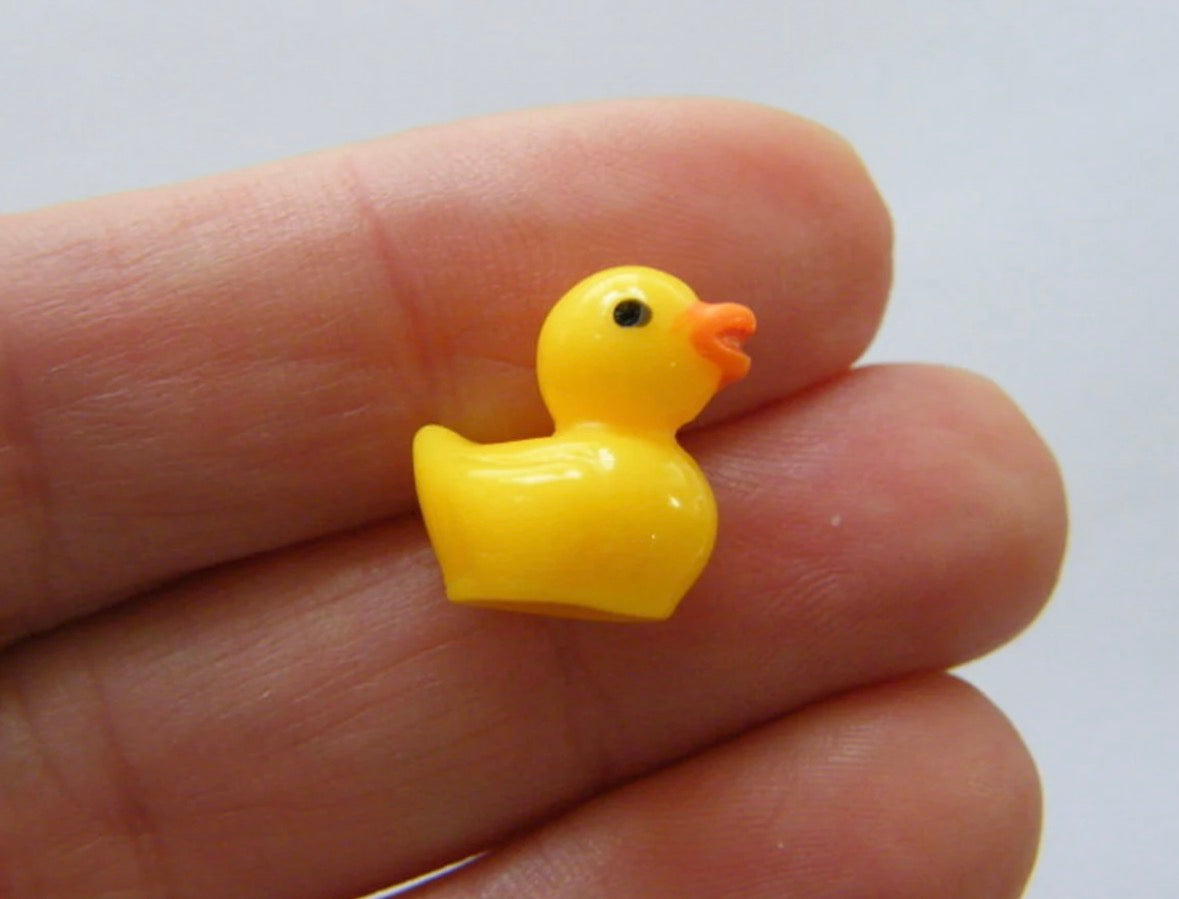 Lil duck