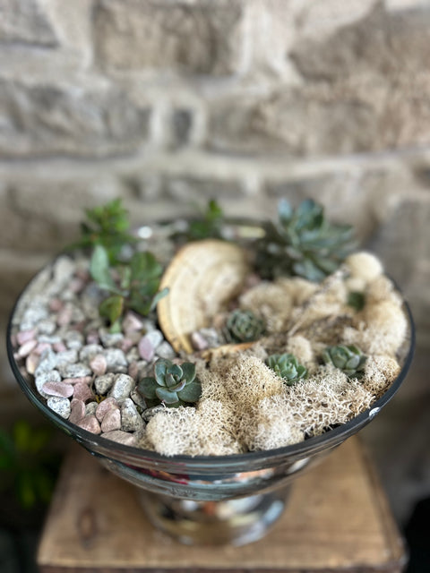 Succulent bowl
