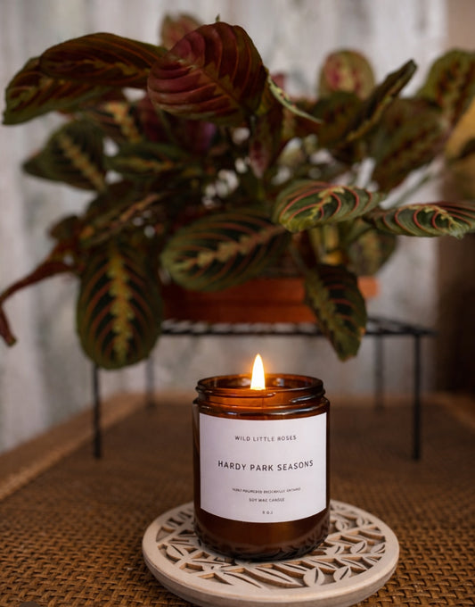 Hardy Park Seasons Soy Candle