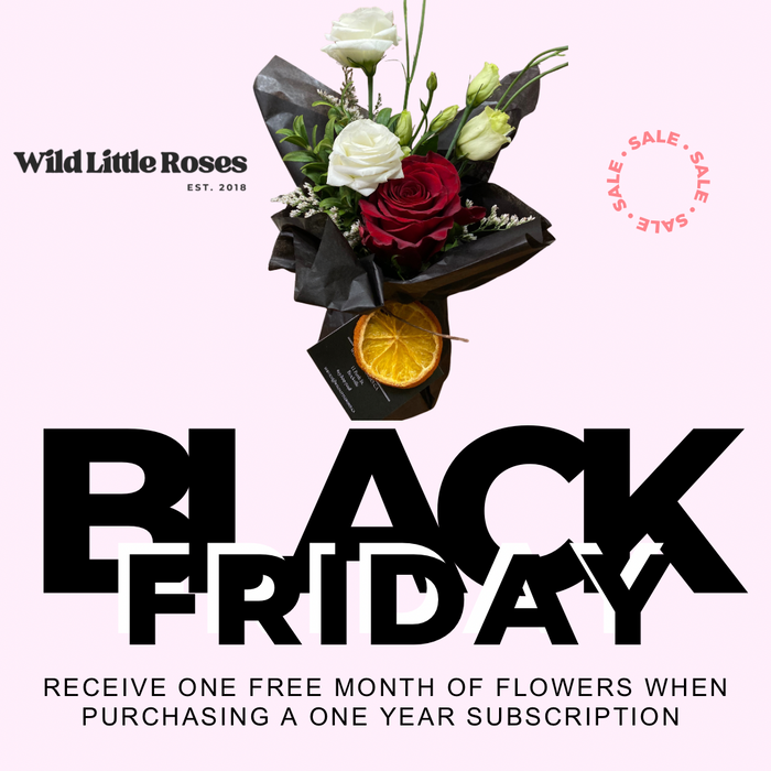 Black Friday Monthly Mason Jar Subscription