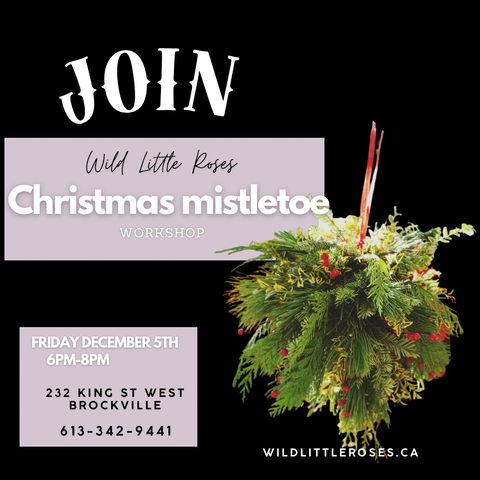 Christmas Mistletoe Workshop
