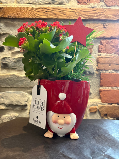 Festive Gnome Garden planter