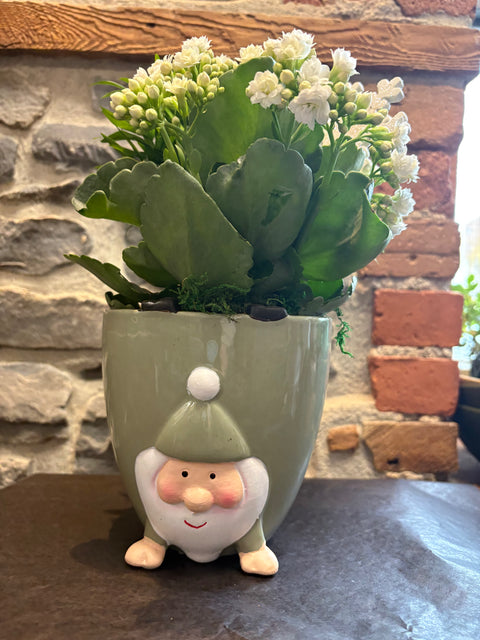 Festive Gnome Garden planter