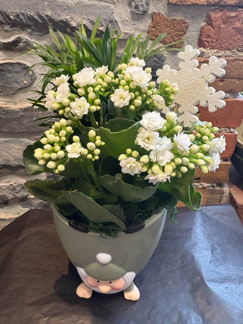 Festive Gnome Garden planter