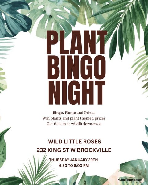 Plant Night Bingo