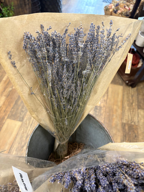 Dried lavender