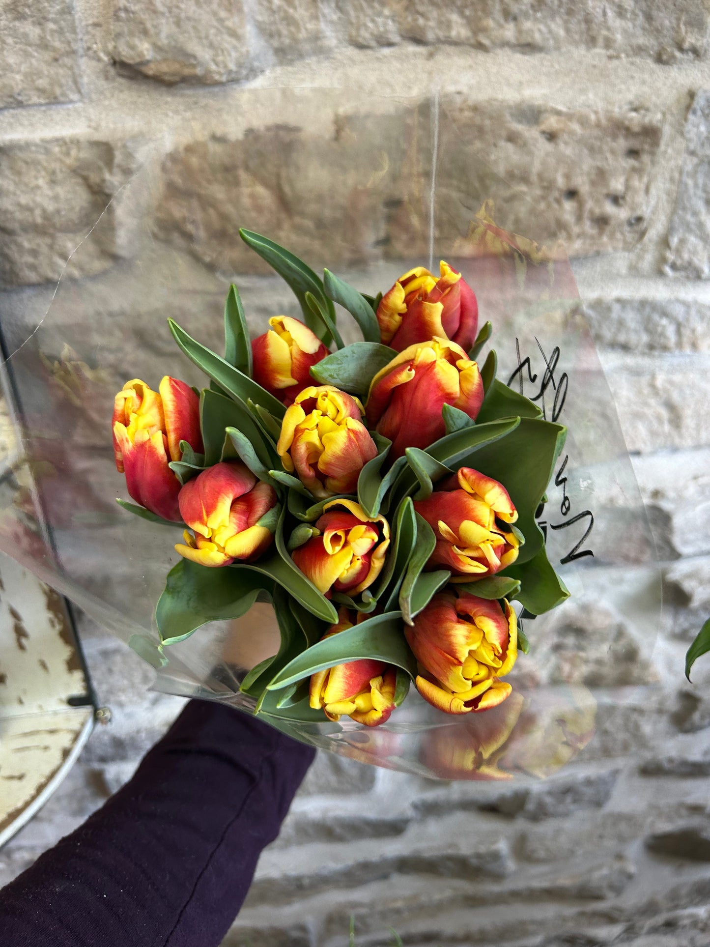 Parrot Tulips