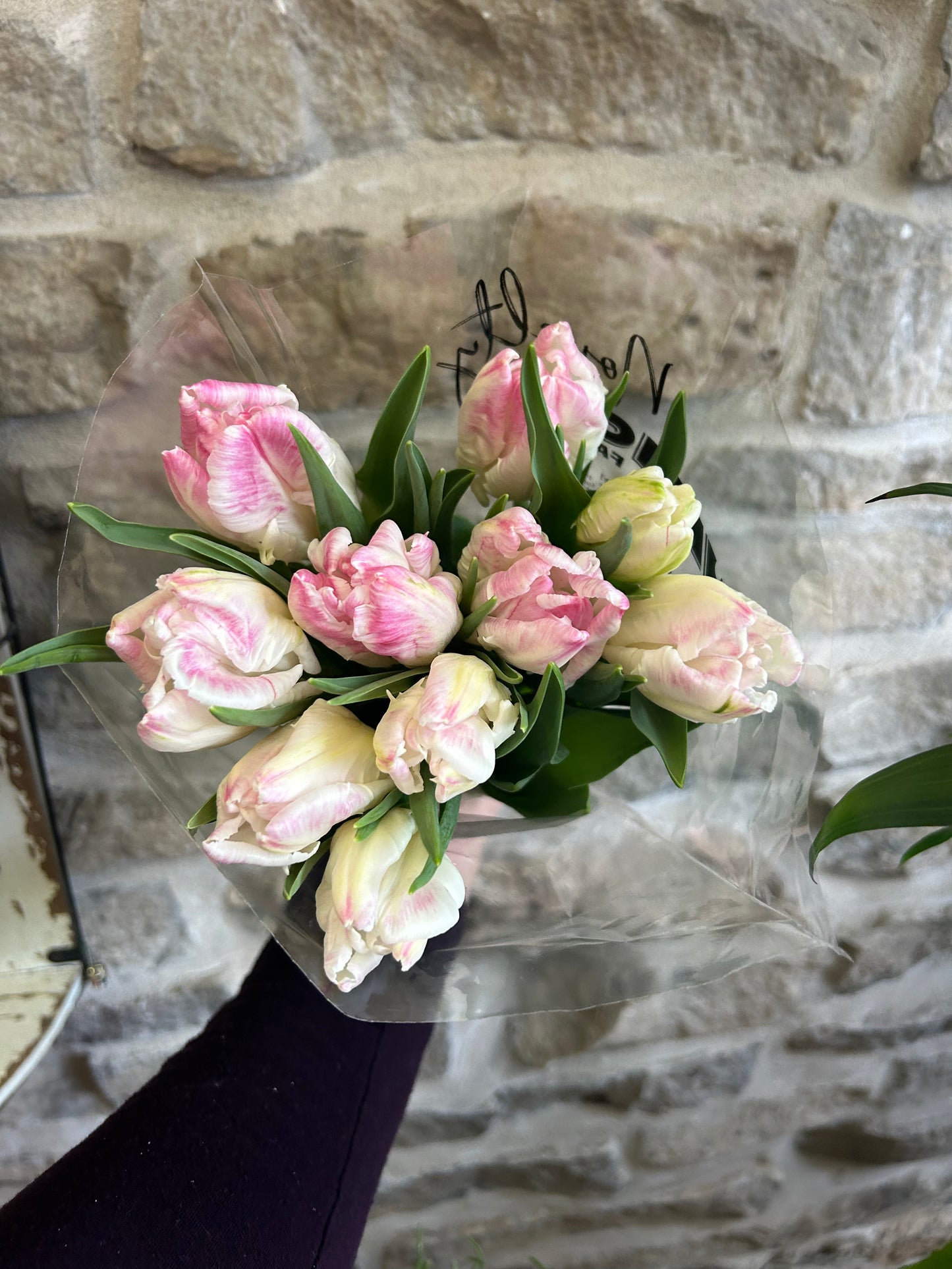 Parrot Tulips