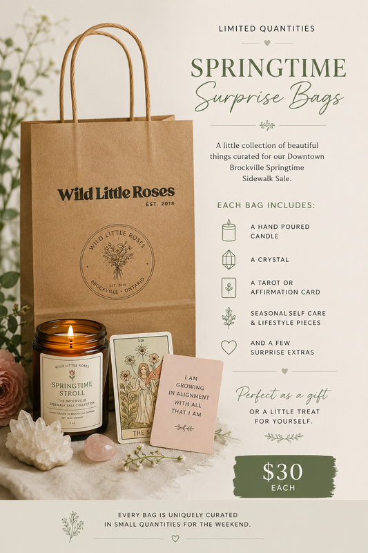 Springtime Stroll Surprise Bags