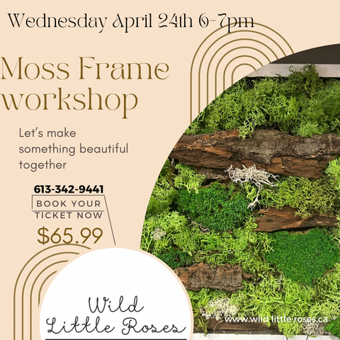 Moss Frame Workshop