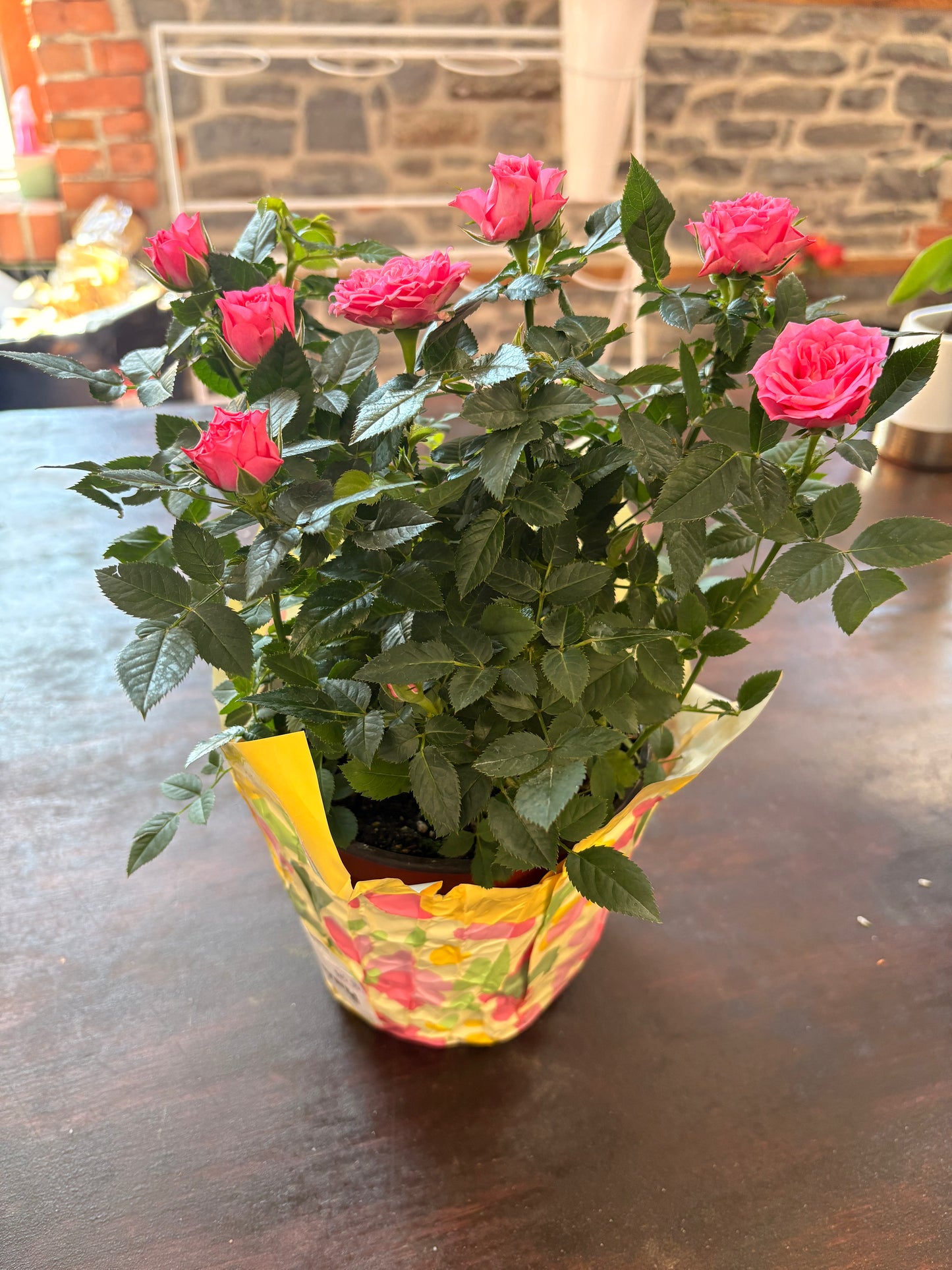 Mini potted roses 6”