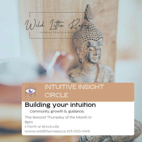 Intuitive insight circle
