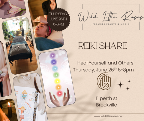 🌕 Reiki Share Workshop at Wild Little Roses 🌿