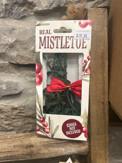 Mistletoe “Real preserved”