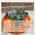 Succulent Pumpkin Workshop