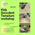 Children’s Succulent Globe Workshop