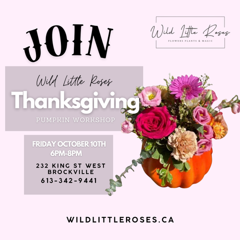 Real Pumpkin Centerpiece Workshop