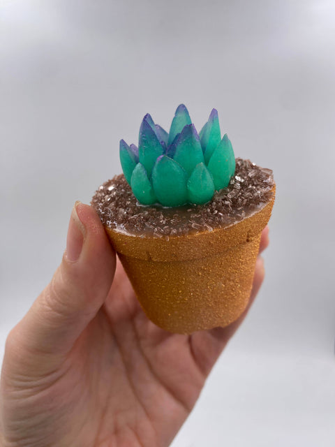 Inspiration Soap Co. - Succulent Plant Bath Bomb & Soap