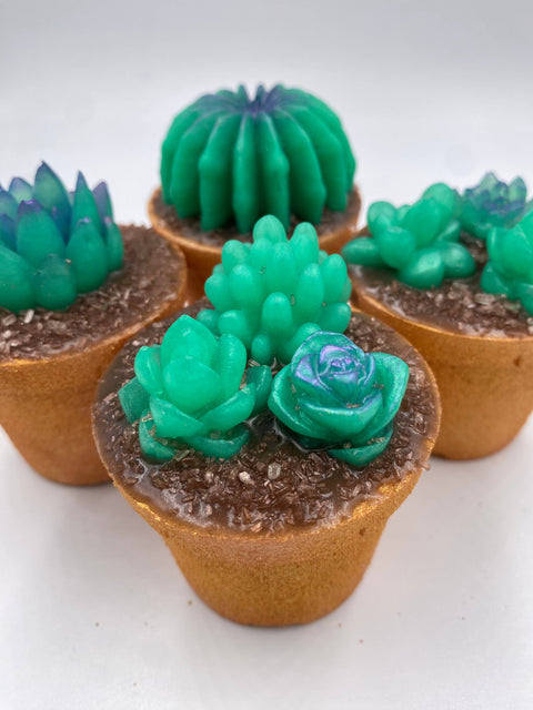 Inspiration Soap Co. - Succulent Plant Bath Bomb & Soap