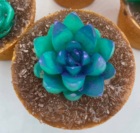 Inspiration Soap Co. - Succulent Plant Bath Bomb & Soap