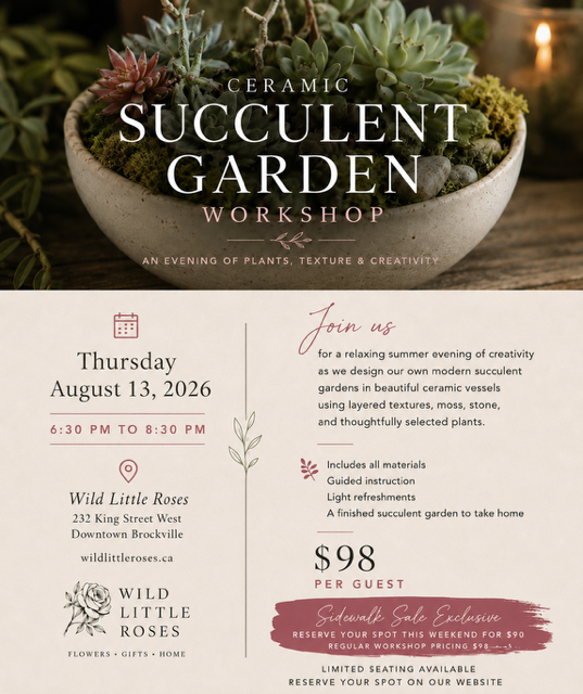 An Evening with Succulents A Ceramic Succulent Garden Workshop