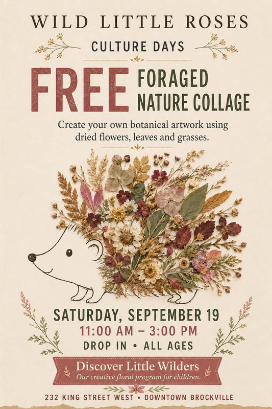 Culture Days Event Nature Collage