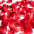Red Rose Petals