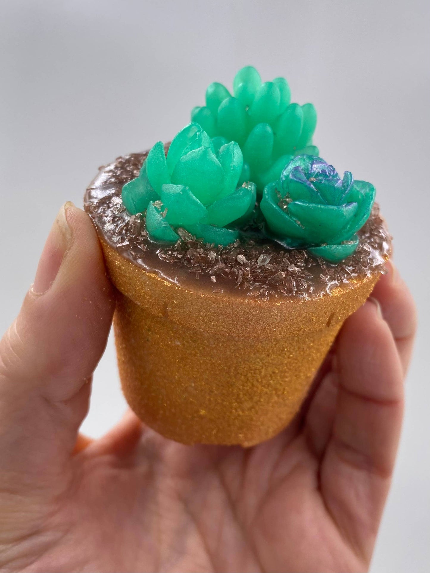Inspiration Soap Co. - Succulent Plant Bath Bomb & Soap