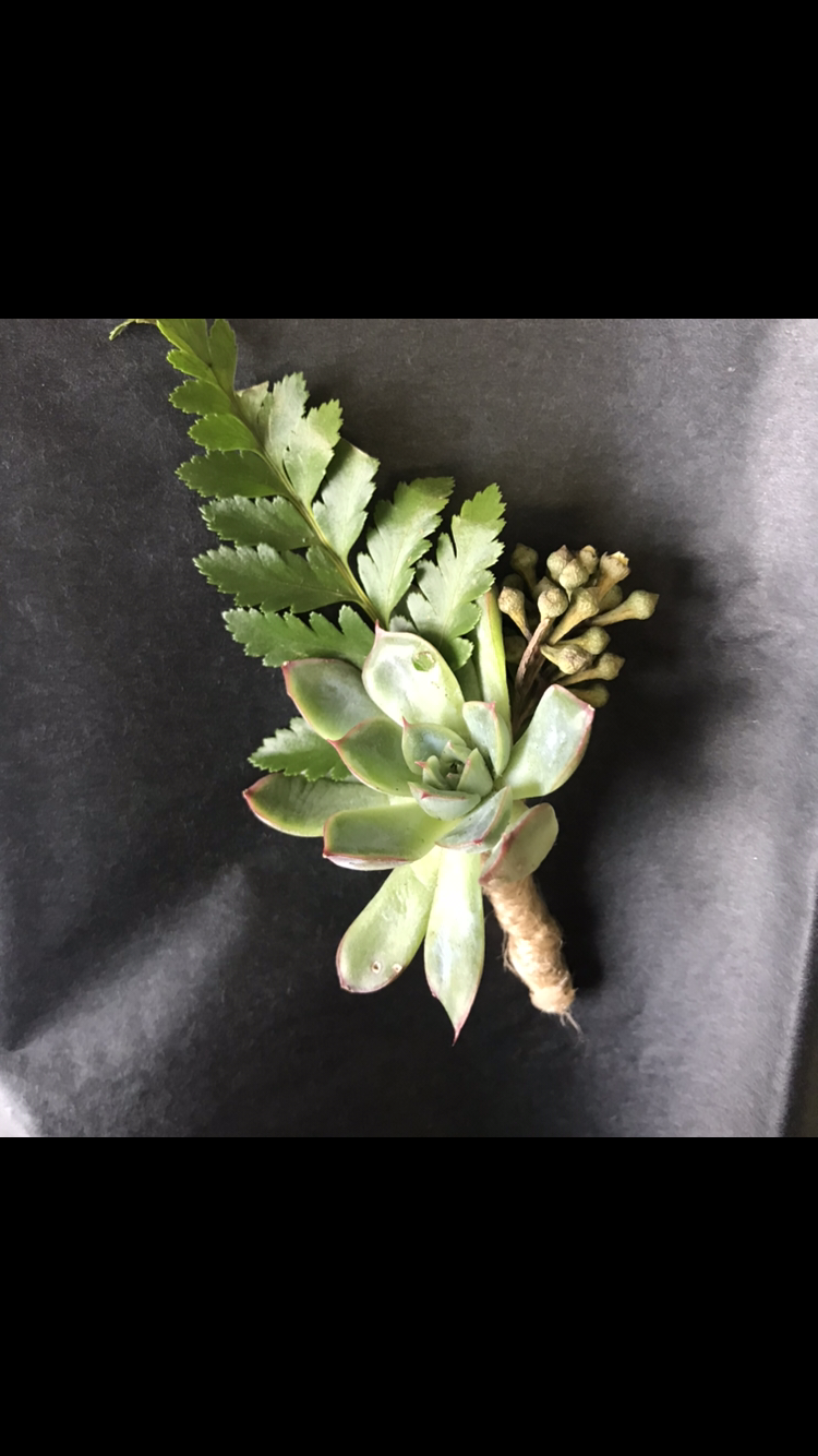 Succulent Boutonniere - Wild Little Roses