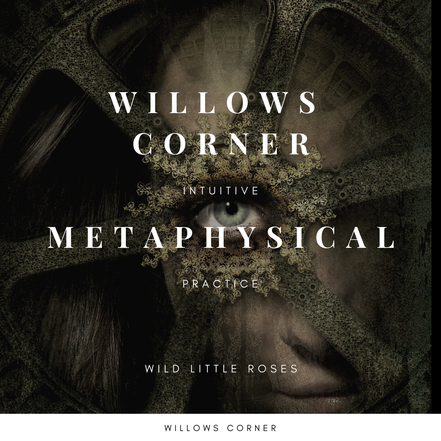 Willows Corner Intuitive Metaphysical Development Meet Up - Wild Little Roses