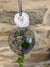 Succulent Globe - Wild Little Roses