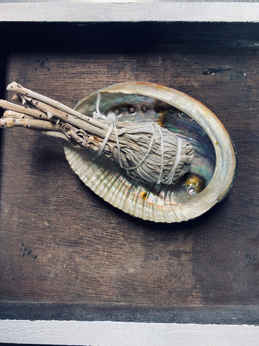 Abalone Shell & Sage Stick Combo