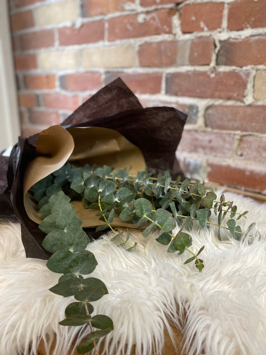 Eucalyptus Bouquet