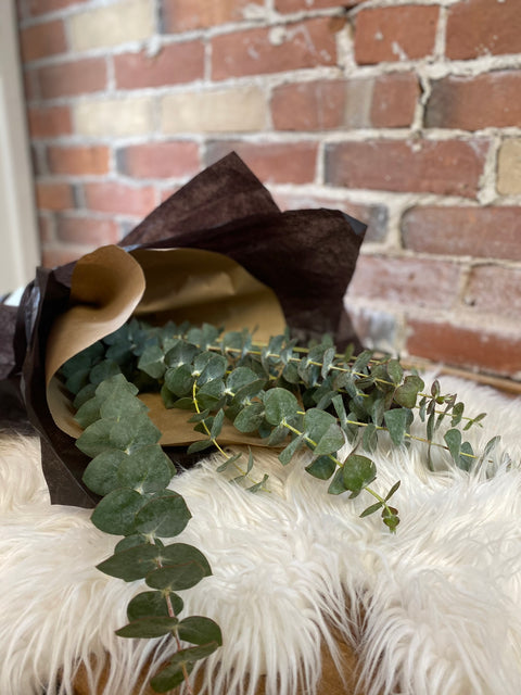 Eucalyptus Bouquet