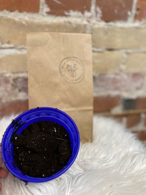 Premium Potting Soil